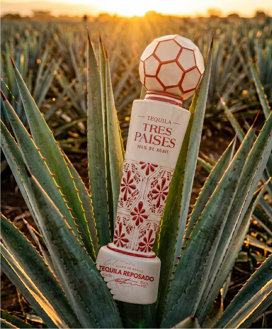 Tres Países bottle among agaves